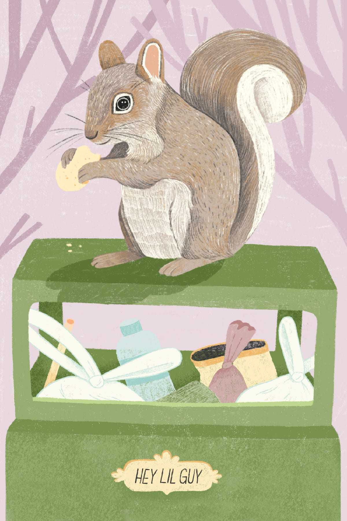 Squirrel Midwest Mischief Postcard